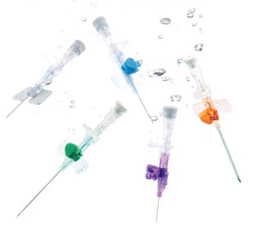 Intraveineux (IV) Cannula.jpg